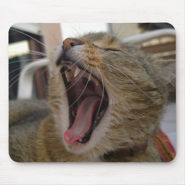 Cat yawn mousepad (Vorne)