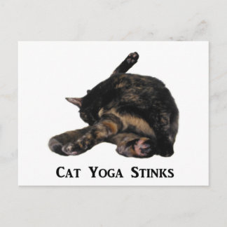 Cat Yoga Stinks Postkarte