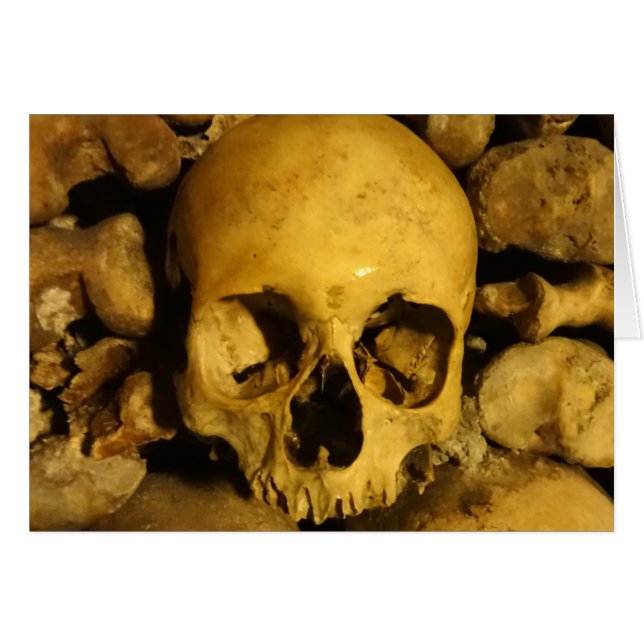 Catacombes en France (Devant horizontal)