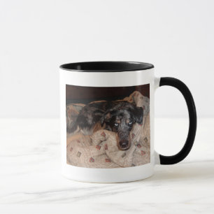 Catahoula Leopard Dog Snoozing Tasse