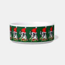 Catahoula Leopard Dog Weihnachten