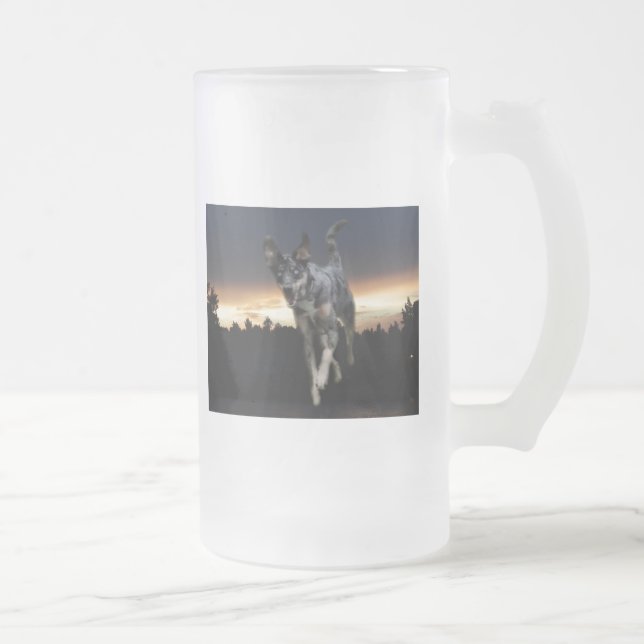 Catahoula Leopard Hund läuft auf Sonnenuntergang Mattglas Bierglas (Rechts)