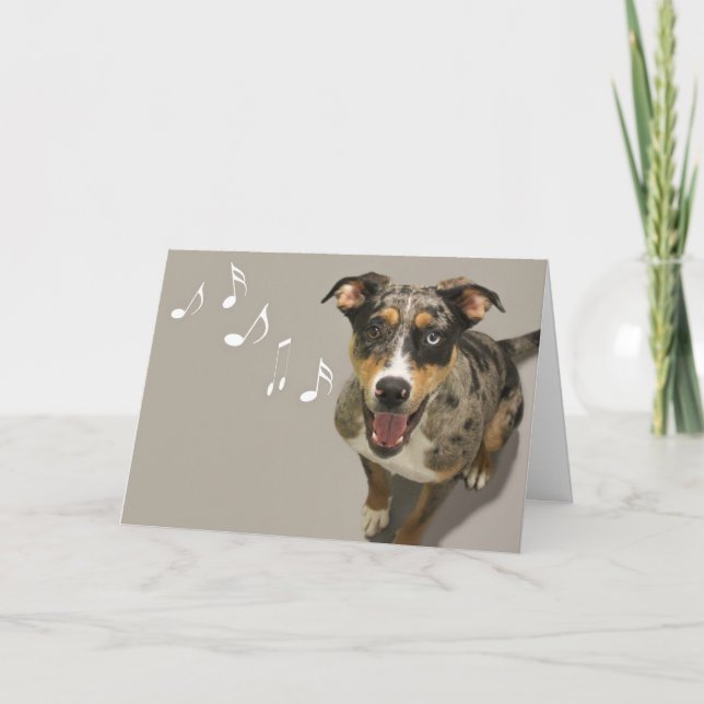 Catahoula Singing Card nach Fokus für eine Sache Karte (Vorderseite)