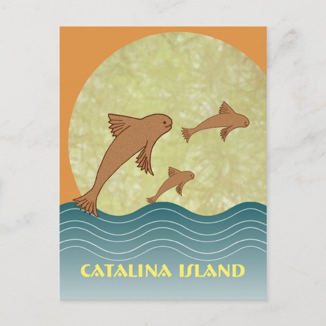 Catalina Flying Fish Postkarte (Vorderseite)