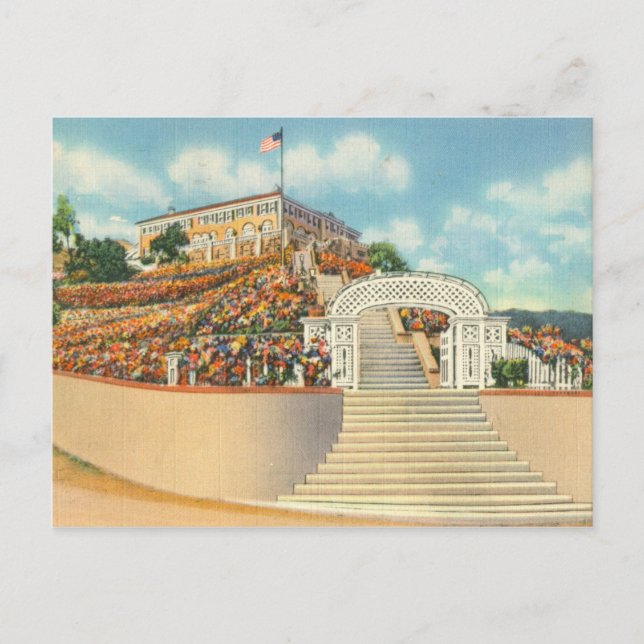 Catalina Postkarte (Vorderseite)