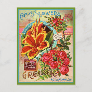 Catalogue Fleur vintage Richmond Indiana Carte Pos
