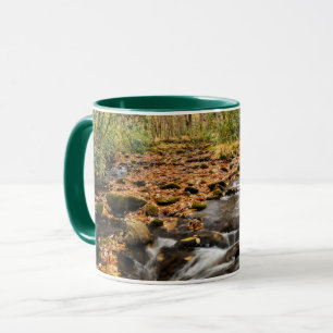 Cataloochee Creek NC Great Smoky Mountains Tasse