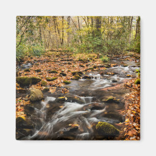 Cataloochee Creek NC Große Smoky-Berge Magnet