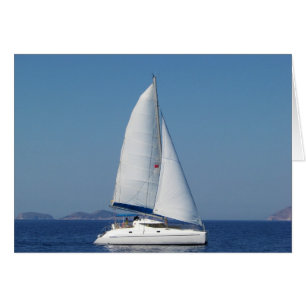 Catamaran Catchup