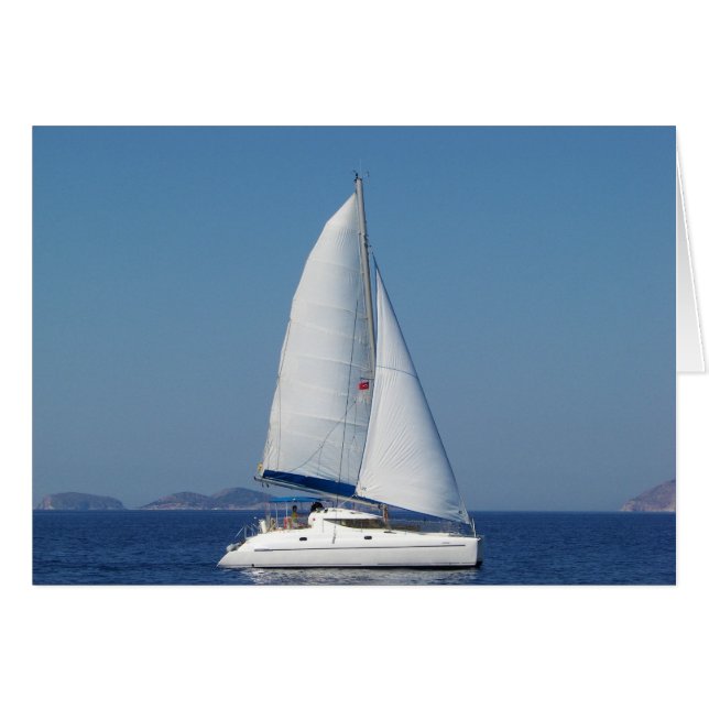 Catamaran Catchup (Devant horizontal)