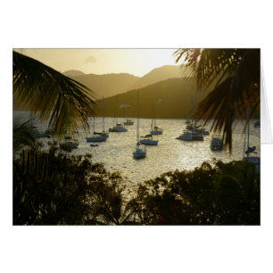 Catamarans et voiliers