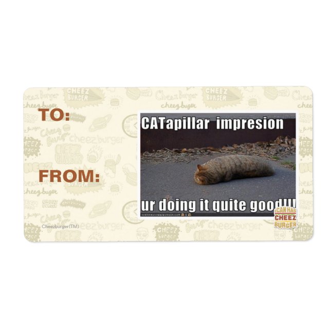 CATapillar (Vorne)