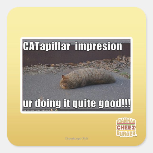 CATapillar Quadratischer Aufkleber (Vorderseite)