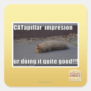 CATapillar Quadratischer Aufkleber