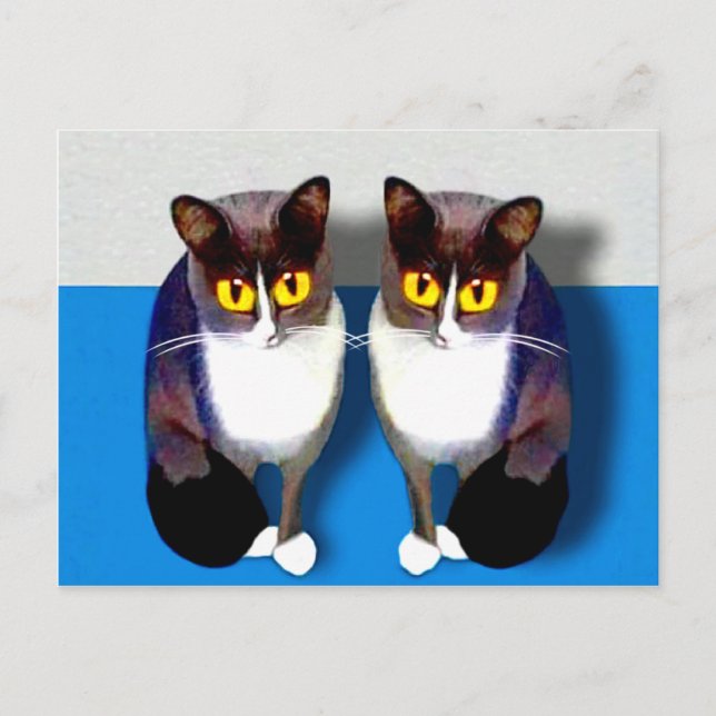 CATaTUDE Postkarte (Vorderseite)
