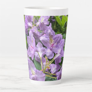 Catawbiense Boursault Rhododendrons, Oregon Milchtasse