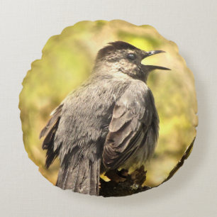 Catbird gris chantant à sa chanson le coussin rond