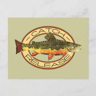 Catch and Release Fishing Postkarte