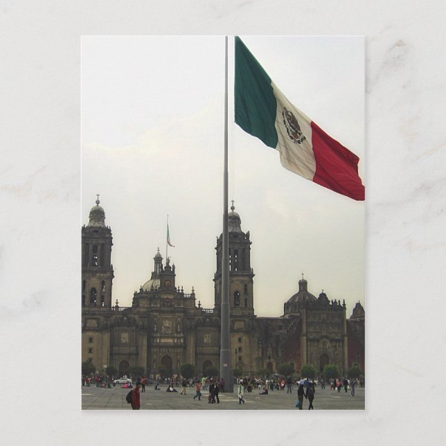 Catedral en el Zocalo del DF & la Bandera Mexicana Postkarte (Vorderseite)