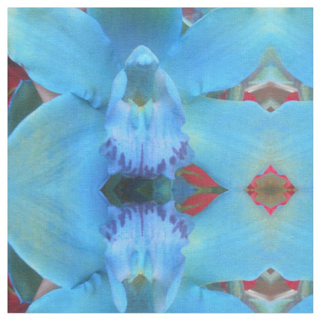 Catelijn Stoff (Nahaufnahme)