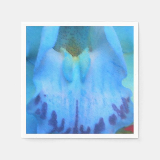 Catelijne Serviette (Vorderseite)