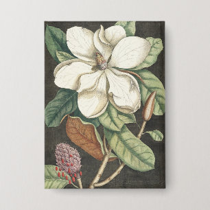 Catesby Vintage Magnolie Botanische Illustration Button