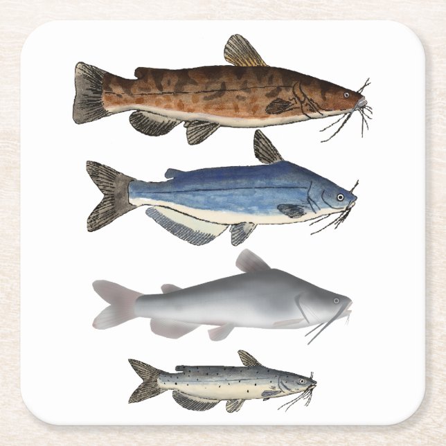 Catfish Group Rechteckiger Pappuntersetzer (Vorderseite)