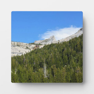 Cathedral Peak am Tenaya Lake, Yosemite, CA Fotoplatte