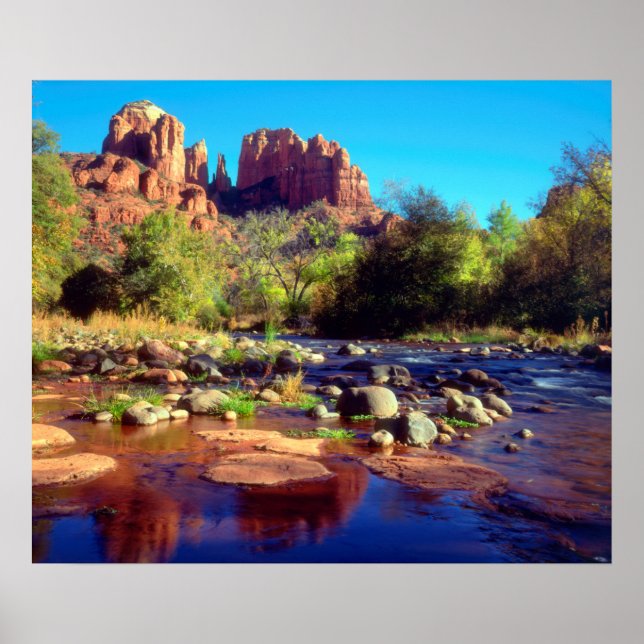 Cathedral Rock reflektiert in der Eichenbucht Poster (Vorne)