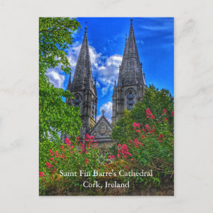 Cathédrale Saint Fin Barre Cork, Irlande Carte pos