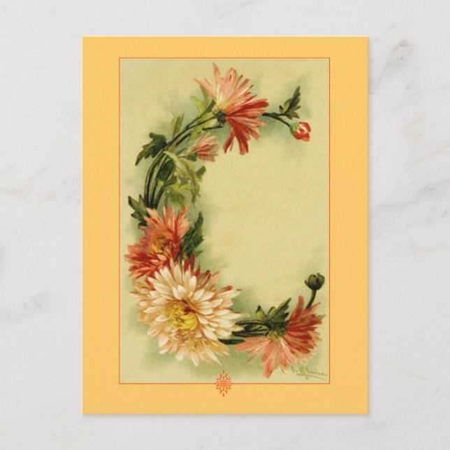 Catherine Klein Blume Alphabet C Chrysanthemen Postkarte (Vorderseite)