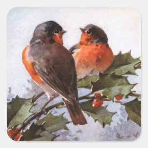 Catherine Klein: Robins über Holly Quadratischer Aufkleber