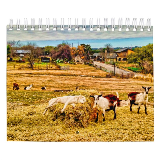 Cathy P. Jones 2019 Kalender (Titelbild)