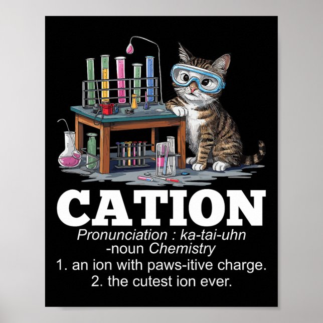 Cation Chemistry Spaß Science Teacher Cat Pun Fun Poster (Vorne)