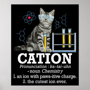 Cation Fun Chemistry Spaß Science Teacher Cat Pub Poster