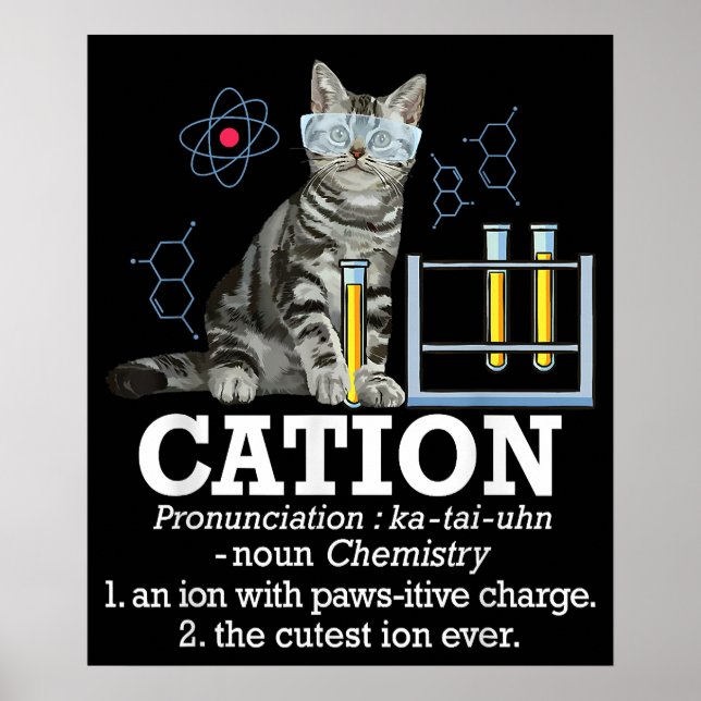 Cation Fun Chemistry Spaß Science Teacher Cat Pub Poster (Vorne)