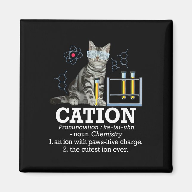 Cation - Funny Chemistry Spaß Science Teacher Cat Magnet (Vorne)