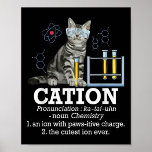 Cation - Funny Chemistry Spaß Science Teacher Cat Poster