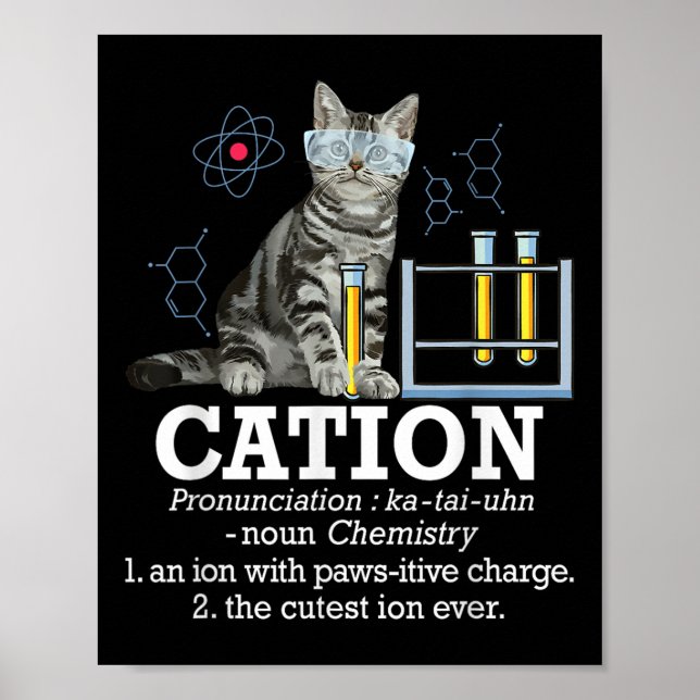 Cation - Funny Chemistry Spaß Science Teacher Cat Poster (Vorne)
