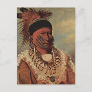 Catlin Native American Art Postkarte