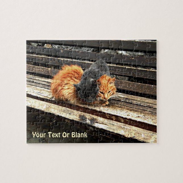 Catnap-Süssen (Horizontal)