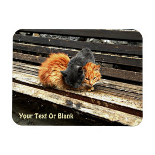 Catnap-Süssen Magnet