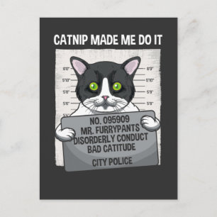 Catnip ließ mich machen, dass es lustige Katze fes Postkarte