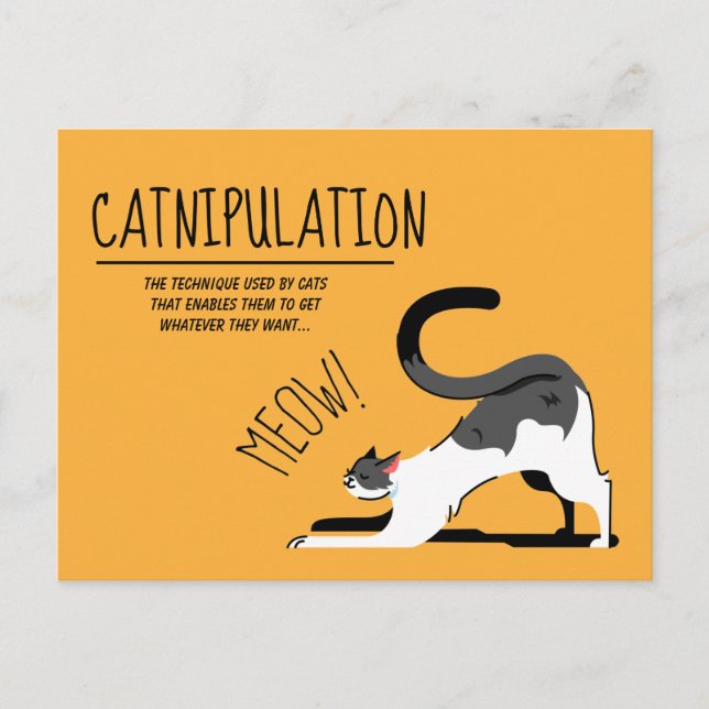 Catnipulation Cat Lovers Meet Design Postkarte (Vorderseite)