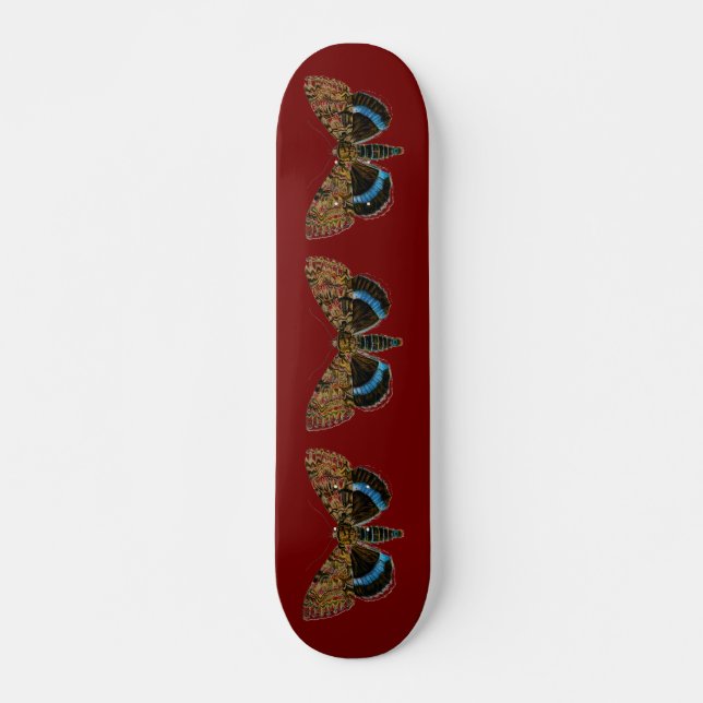 Catocala fraxini skateboard (Vorne)