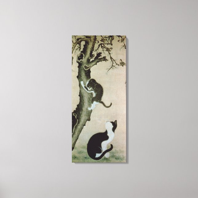 Cats, 17th century leinwanddruck (Vorderseite)