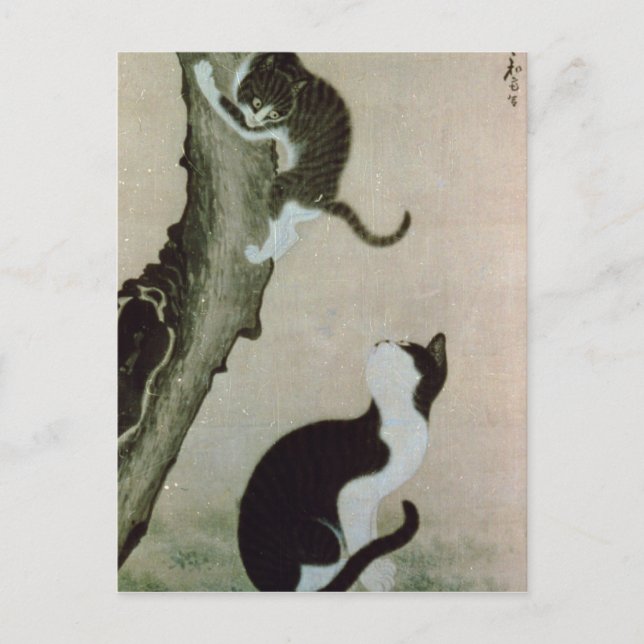 Cats, 17th century postkarte (Vorderseite)