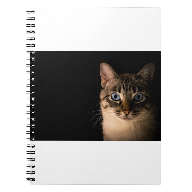Cats Are The Best 20 Notizblock (Vorderseite)