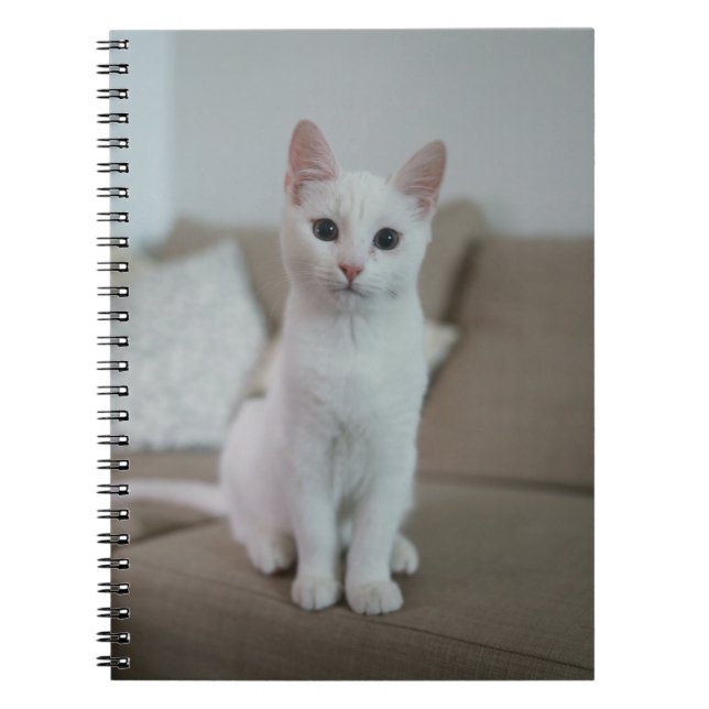 Cats Are The Best 42 Notizblock (Vorderseite)