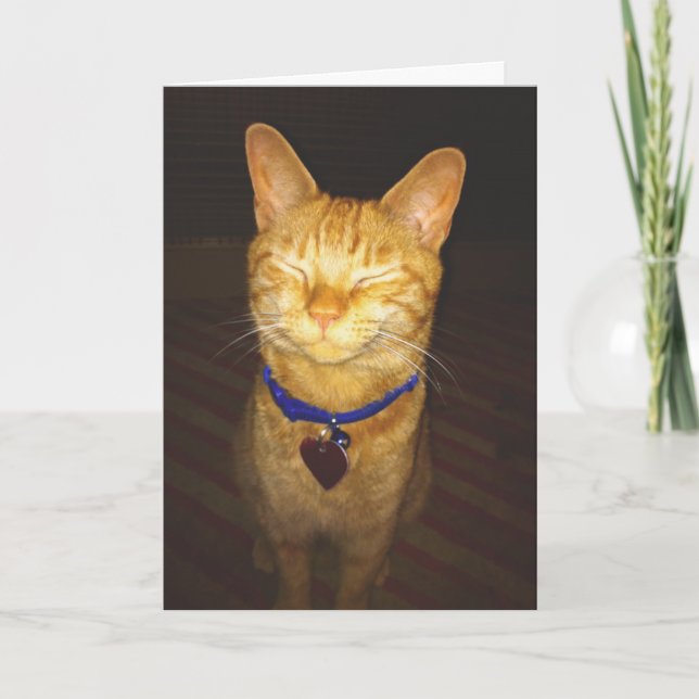 Cat's Birthday Wishes Greeting Karte (Vorderseite)